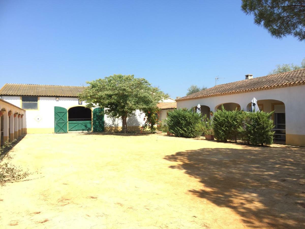 El Rocio 1 Gites Equestre Saintes-Maries-de-la-Mer Ngoại thất bức ảnh