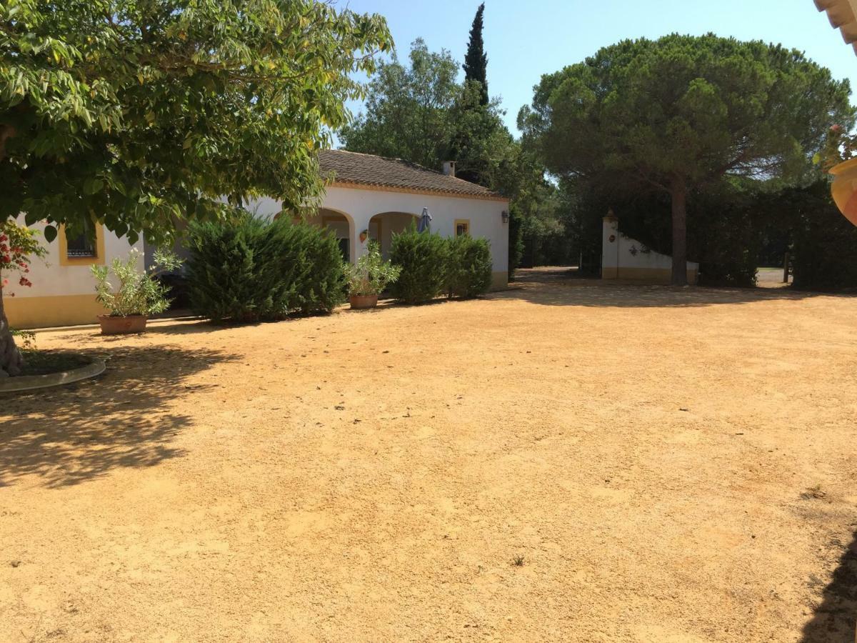 El Rocio 1 Gites Equestre Saintes-Maries-de-la-Mer Ngoại thất bức ảnh